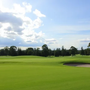 Close up of a beautiful golf course with vibrant grass