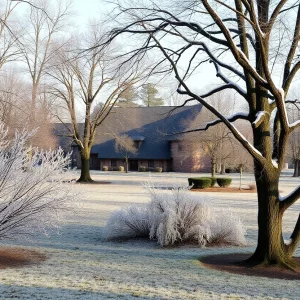 Frost-covered park in Jacksonville during cold snap