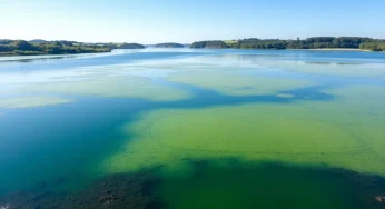 First Detection of Blue-Green Algae in Lough Neagh 2025
