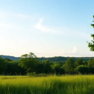 August Weather Relief