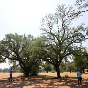 Landscape of Georgia experiencing extreme heat with people in the shade
