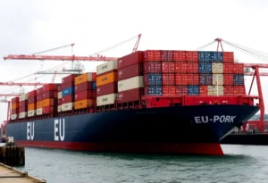 Cargo ship with EU pork imports at a Chinese port