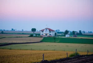 Landscape of a rural hospital facilitating healthcare transformation