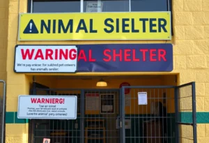 Warning sign at Jacksonville Humane Society regarding pet scams.