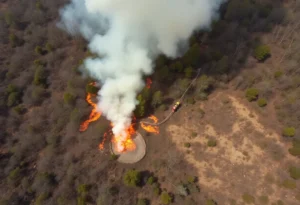 Firefighters managing a brush fire in Interlachen, Florida