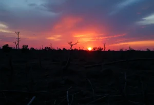 A landscape depicting critical fire weather conditions in Northeast Florida